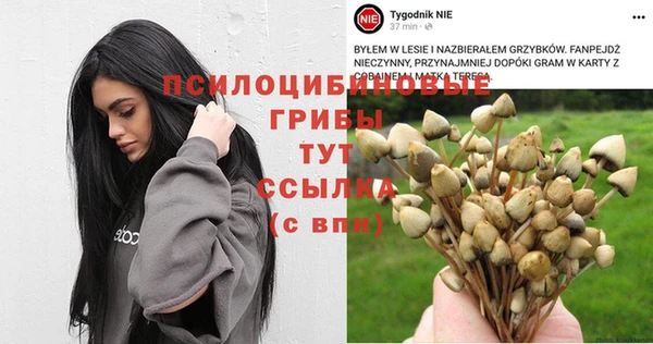 МДПВ Беломорск